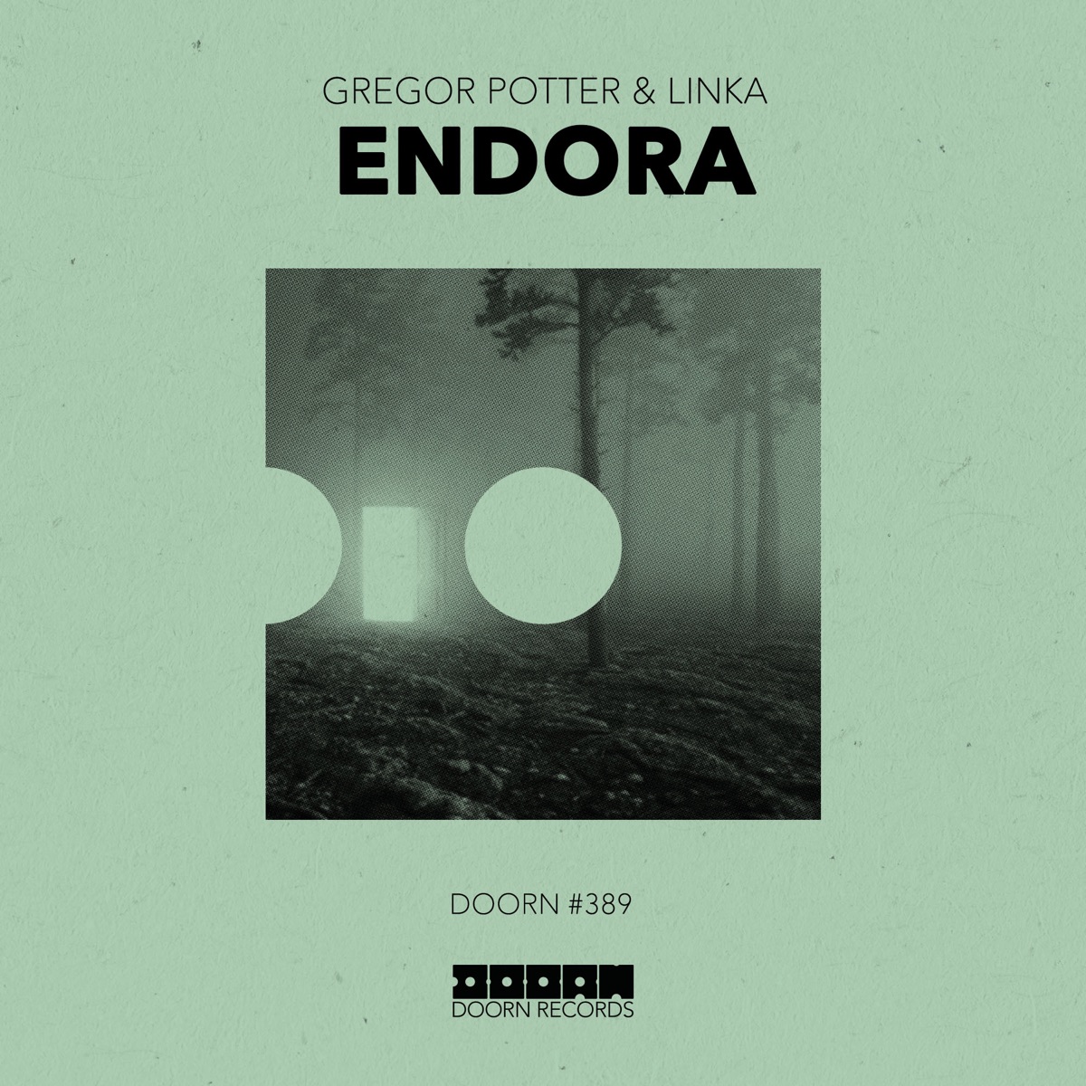Endora - Single by Gregor Potter & Linka album cover