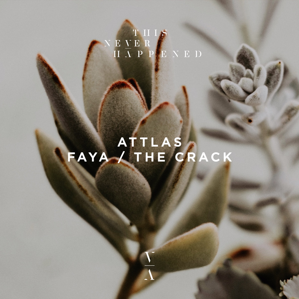 Faya / The Crack - Single by ATTLAS album cover