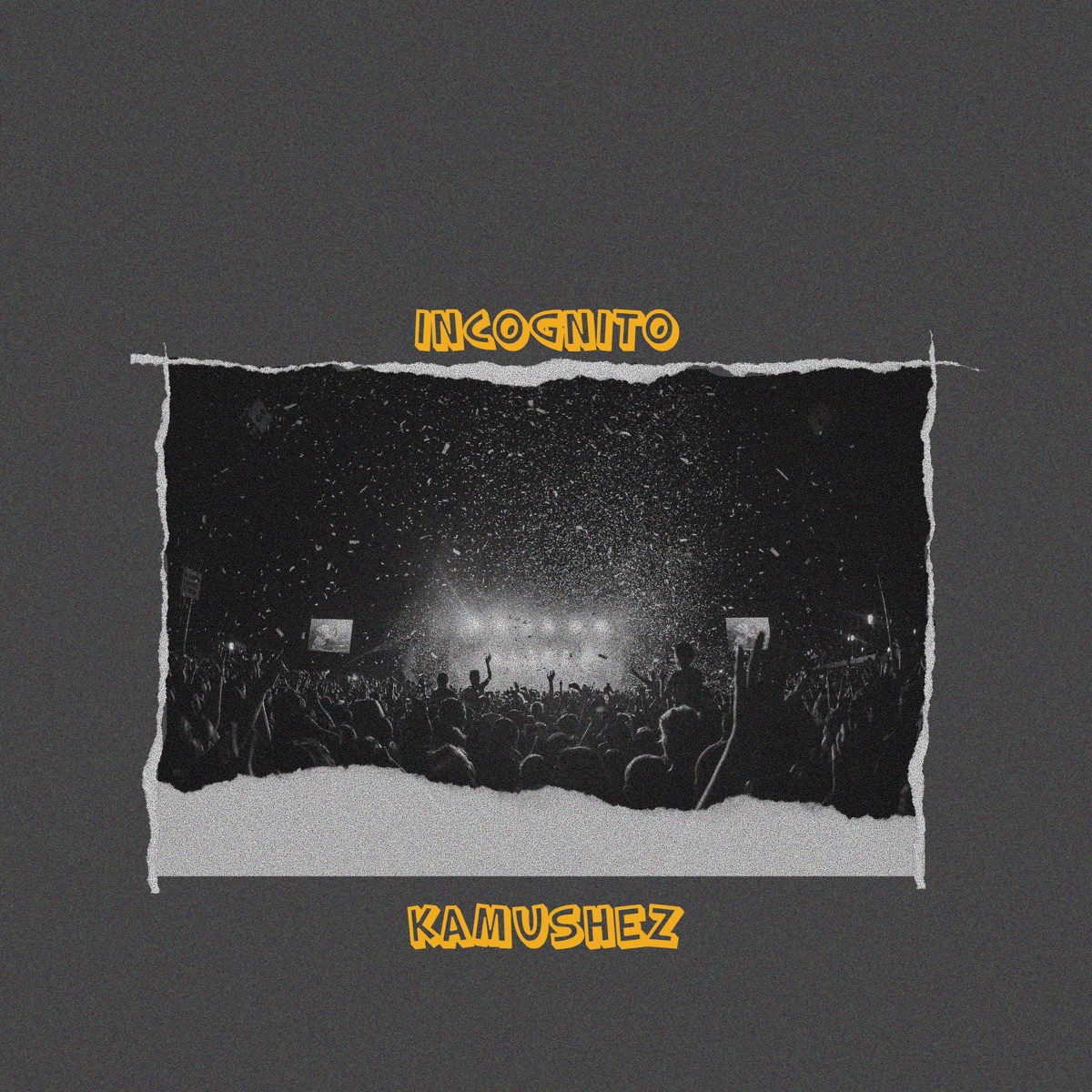 Incognito - Single by KAMUSHEZ album cover
