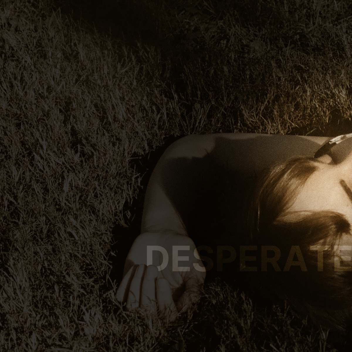 Desperate (feat. Vibeke Saugestad) - Single by Pål Bråtelund album cover