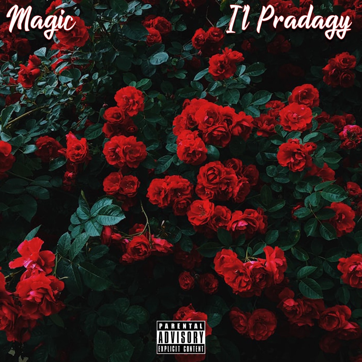 Roses (feat. Magic) - Single by I'l Pradagy album cover