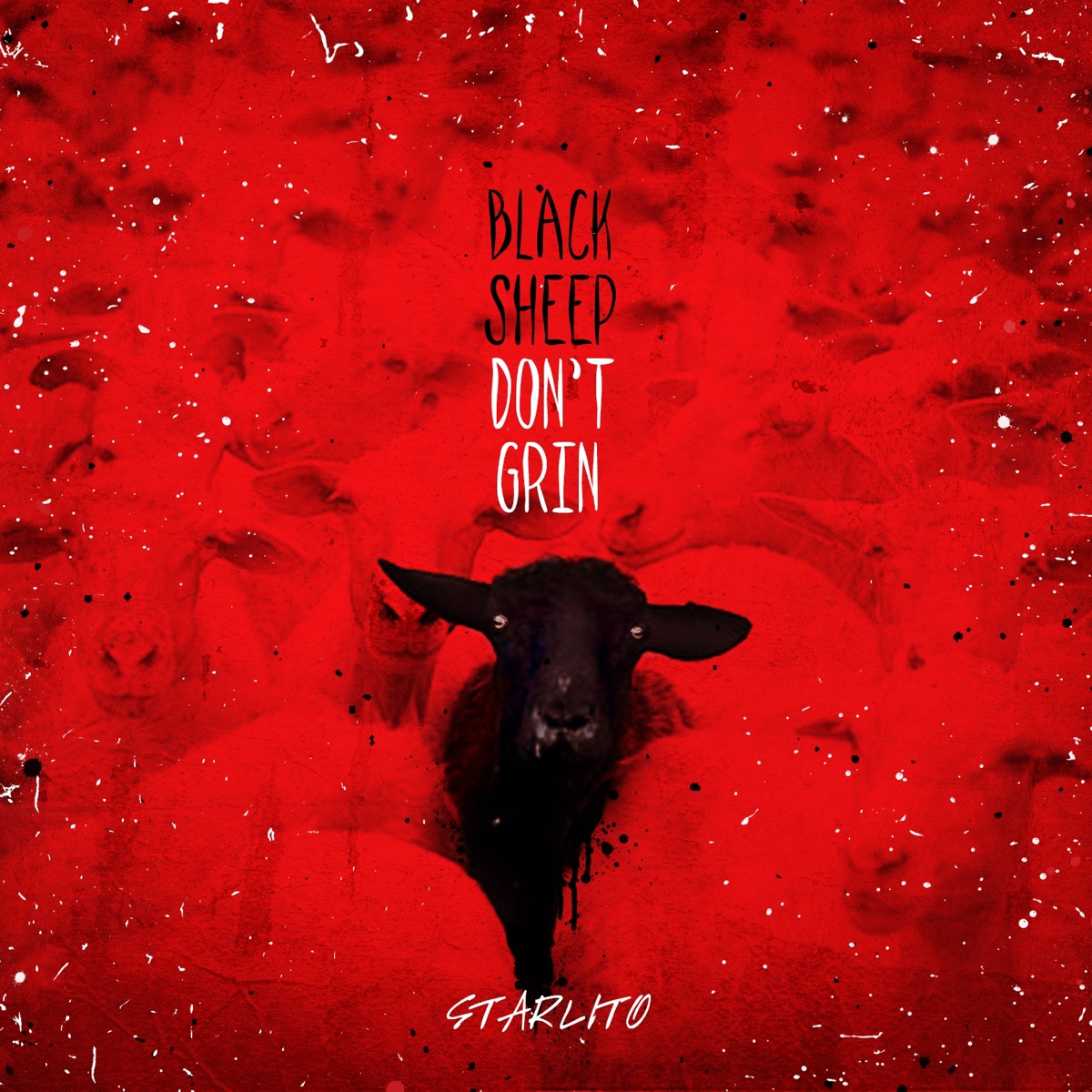 Black Sheep Don't Grin by Starlito album cover