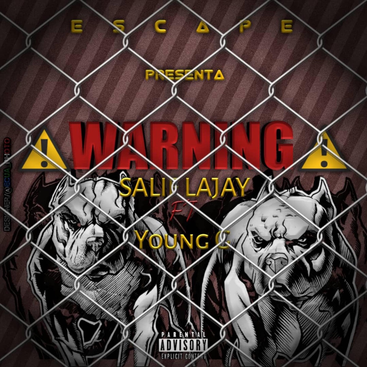 Warning (feat. Young G Mr.Magnifico) - Single by Salif Lajay album cover