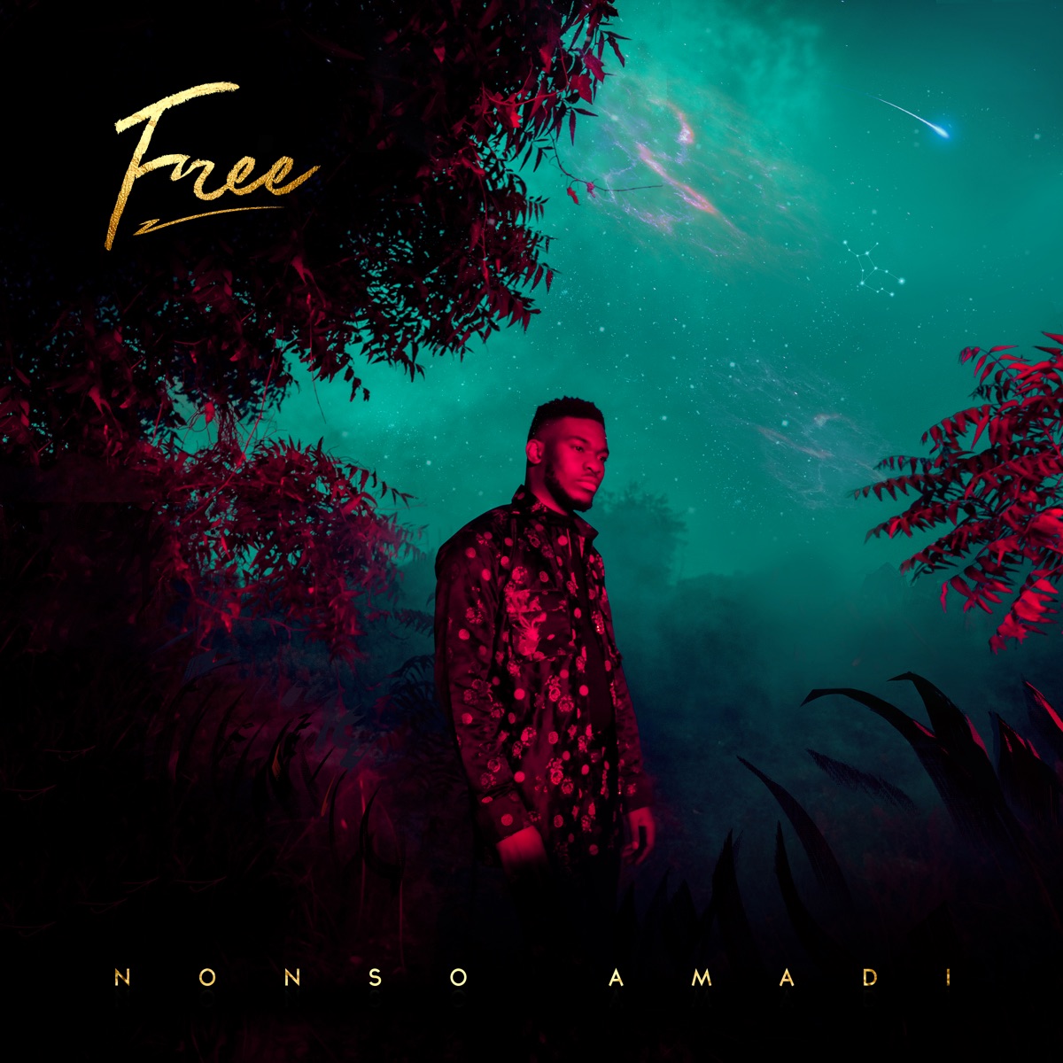 Free - EP by Nonso Amadi album cover