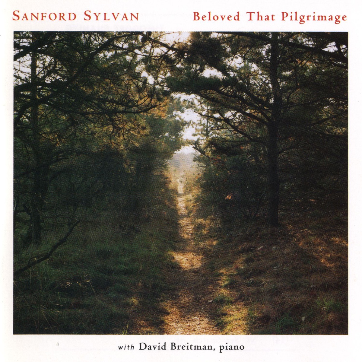 Beloved That Pilgrimage by David Breitman & Sanford Sylvan album cover
