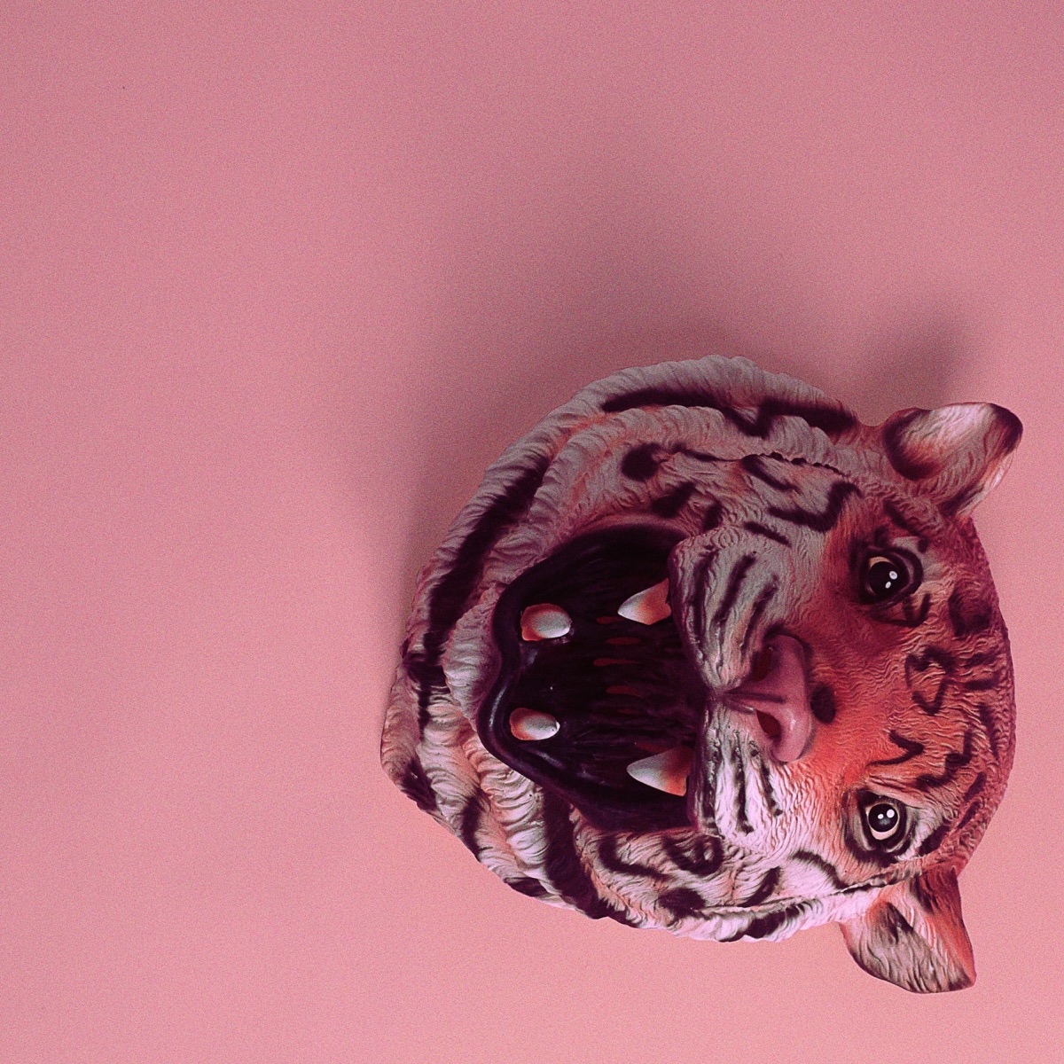Pink Tiger by CaRter & Big Wave album cover