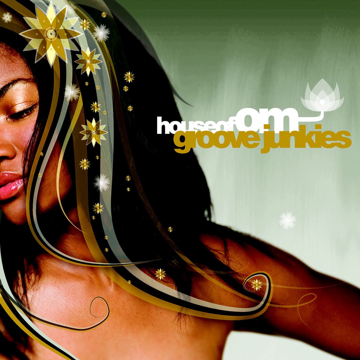 House of Om (Continuous Mix) by Groove Junkies album cover