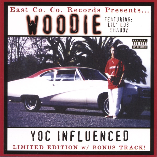 YOC INFLUENCED by Woodie album cover