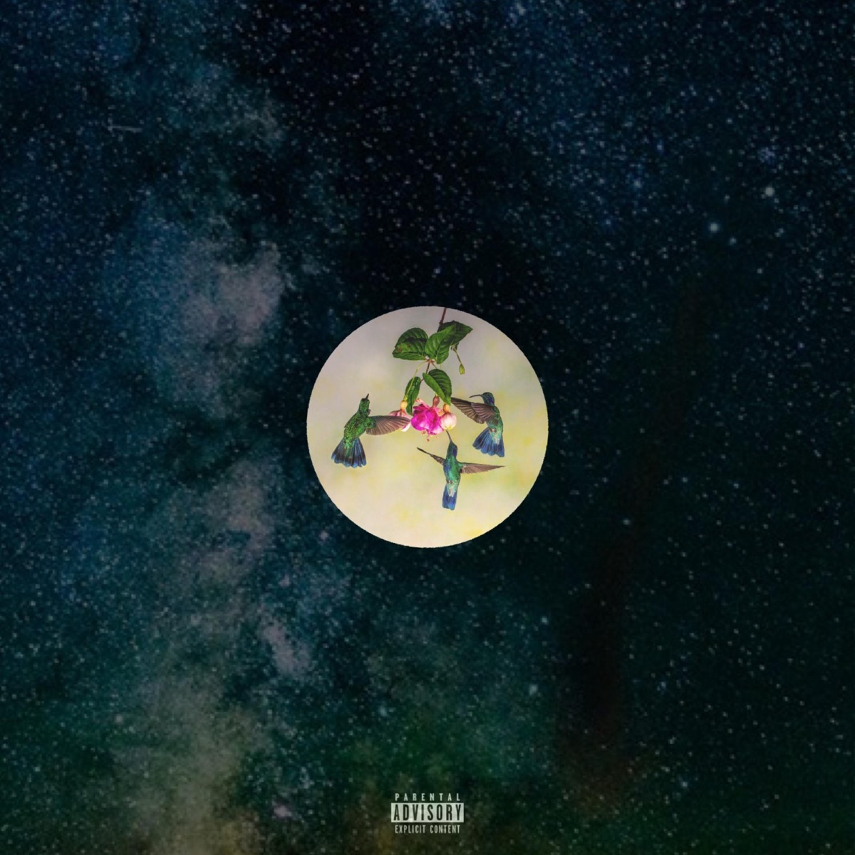 Blossom - Single by Burd Hauz, Kayin & Otheni album cover