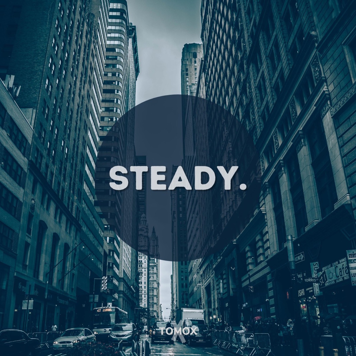 Steady - Single by TOMOX album cover