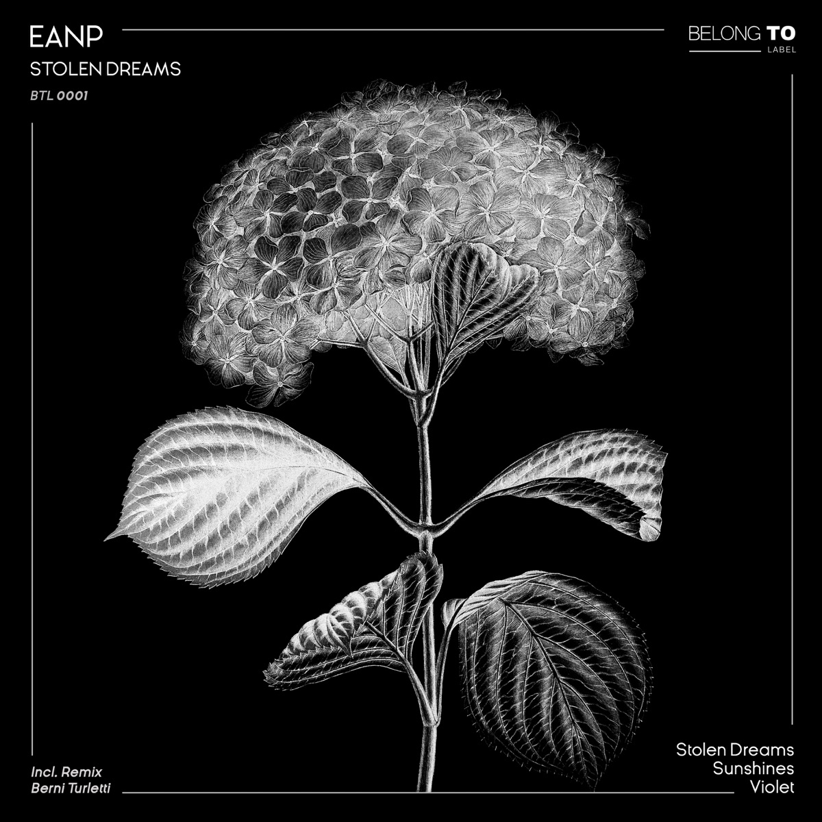 Stolen Dreams by EANP & Berni Turletti album cover