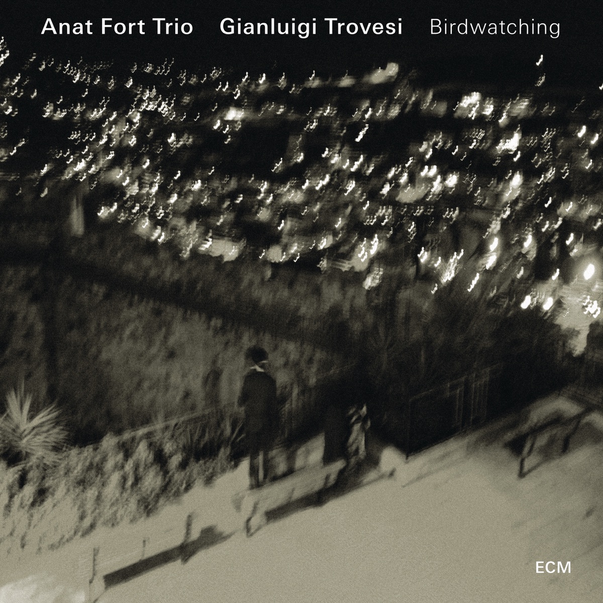 Birdwatching by Anat Fort Trio & Gianluigi Trovesi album cover
