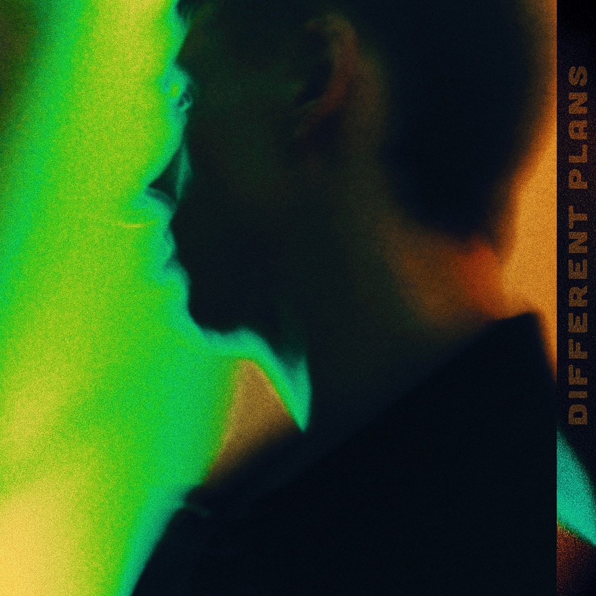 Different Plans - Single by rūku album cover