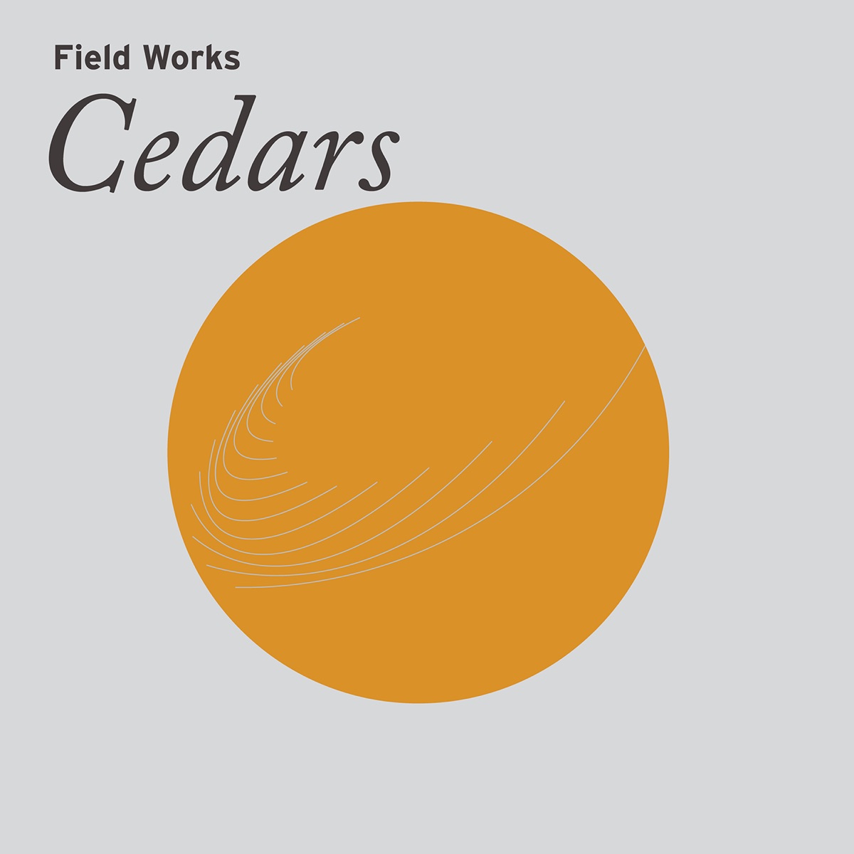 Cedars by Field Works album cover