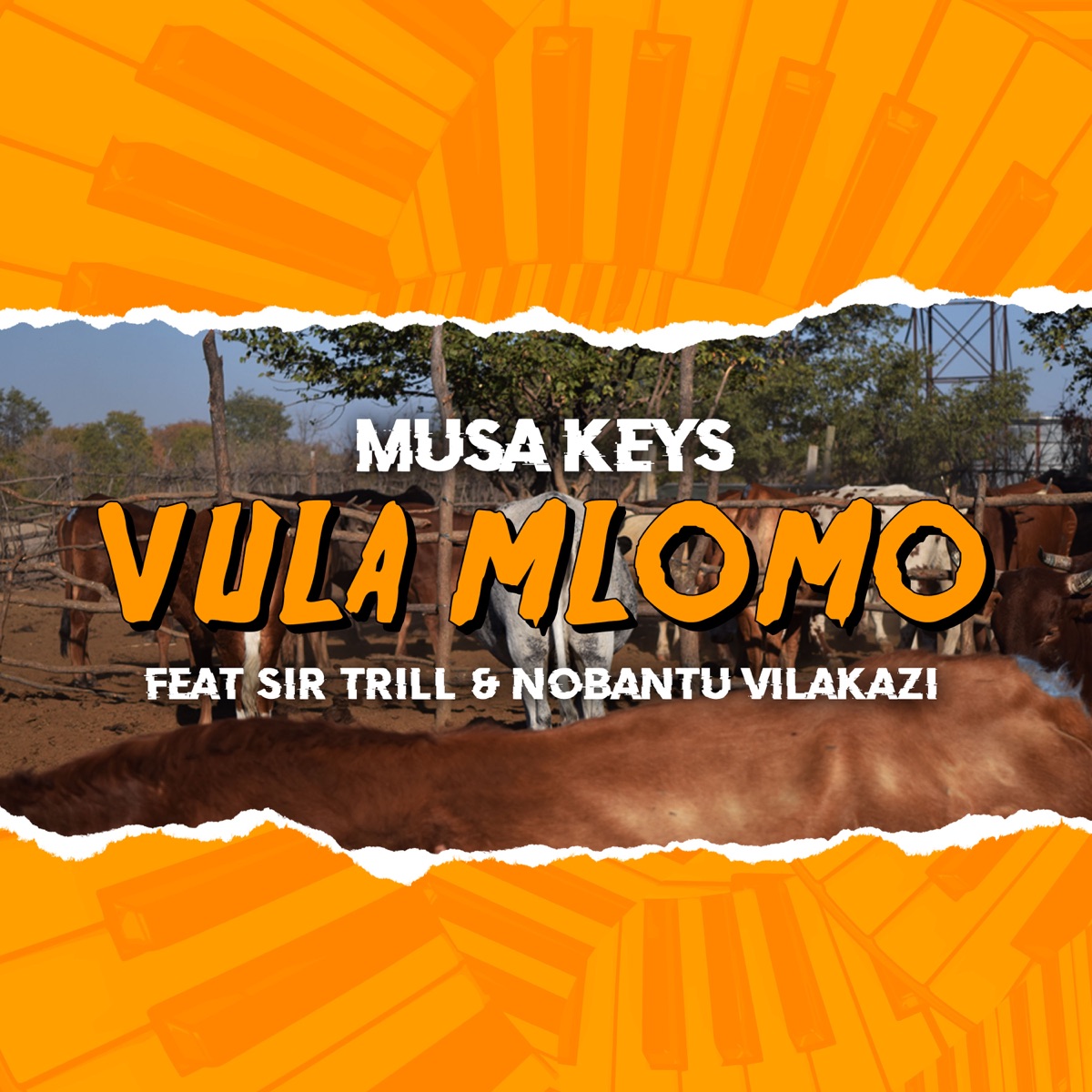 Vula Mlomo (feat. Sir Trill & Nobantu Vilakazi) - Single by Musa Keys album cover