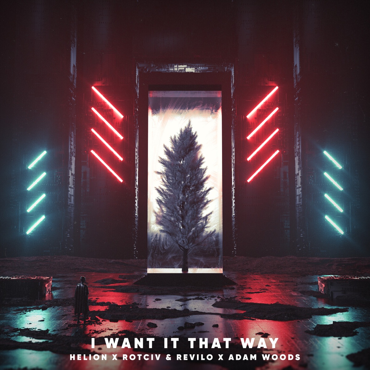 I Want It That Way (feat. Adam Woods) - Single by Helion & Rotciv & Revilo album cover