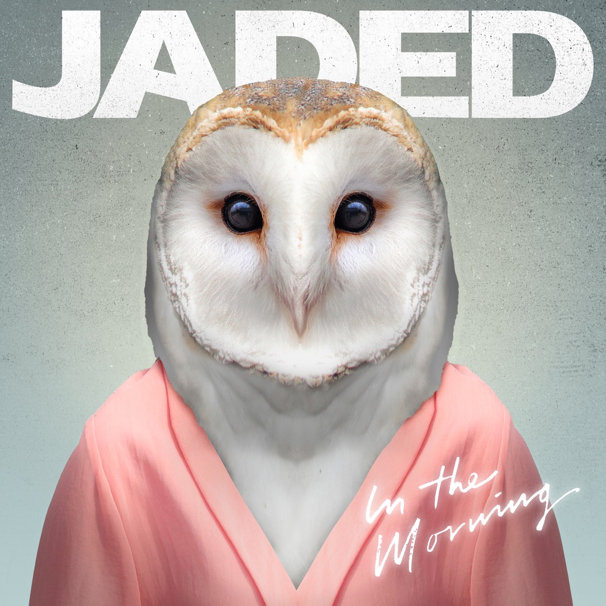 In the Morning (Remixes) - EP by Jaded album cover