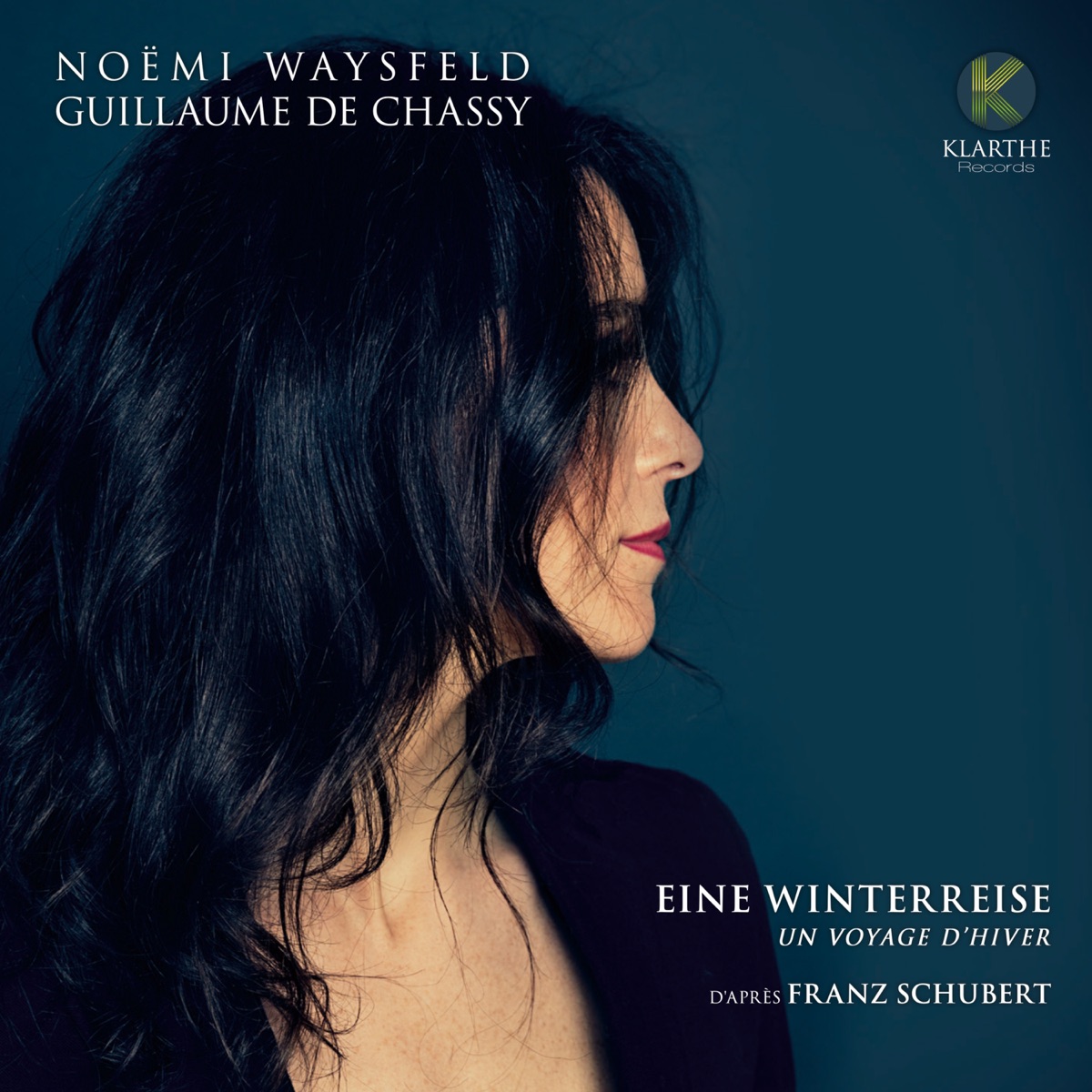 Eine winterreise by Noëmi Waysfeld & Guillaume de Chassy album cover