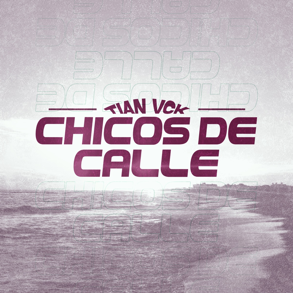 Chicos de Calle - Single by Tian Vck album cover