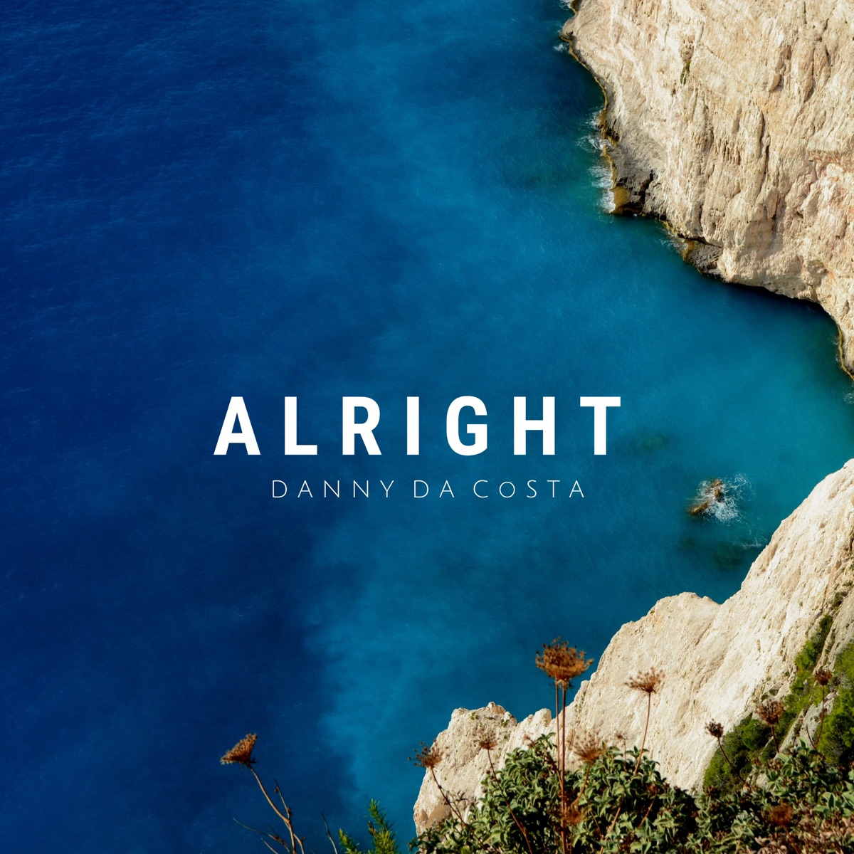 Alright - Single by Danny Da Costa album cover
