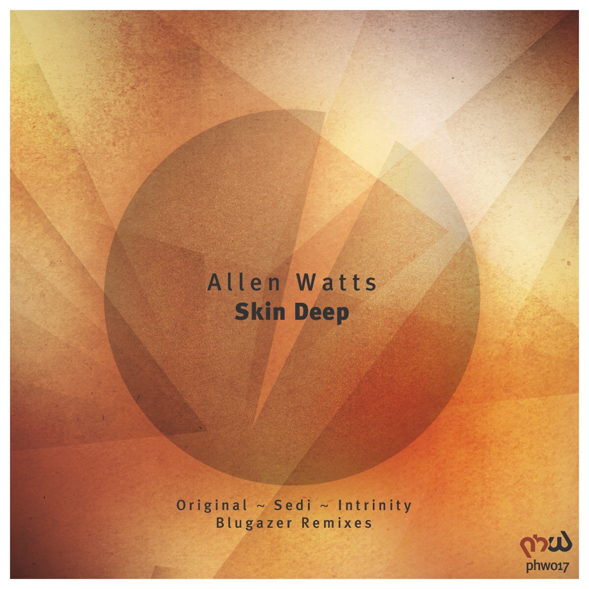 Skin Deep by Allen Watts album cover