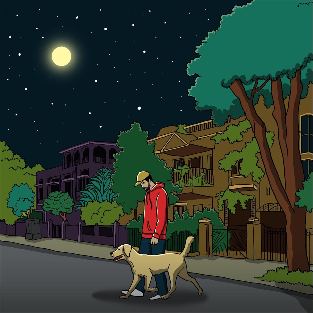 Pardo - Single by Nishu album cover