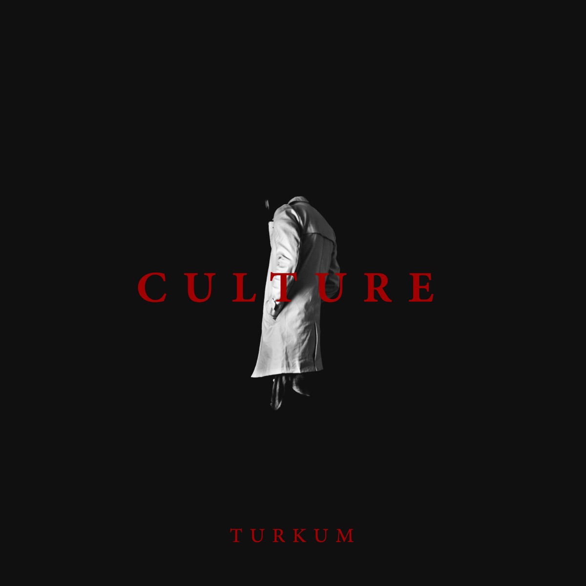 Culture - Single by Türküm album cover
