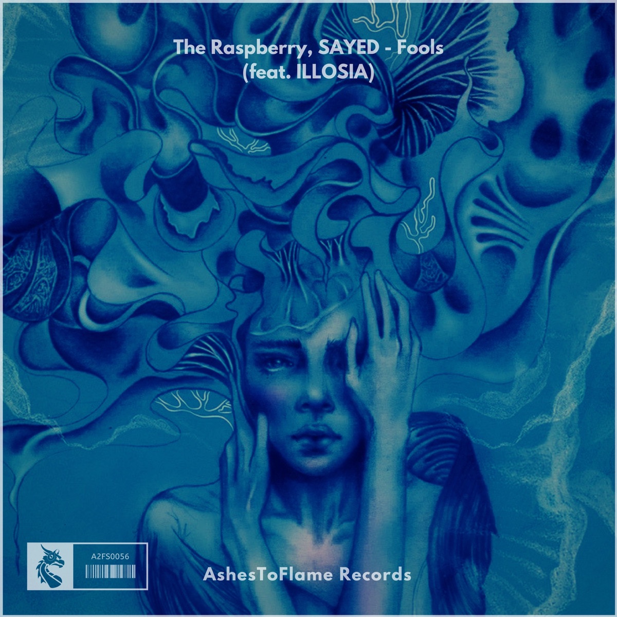 Fools (feat. ILLOSIA) - Single by The Raspberry & Sayed album cover