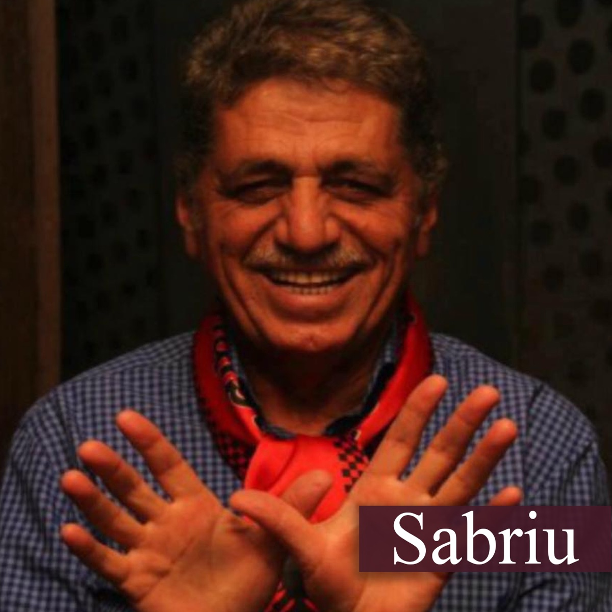 Lot Tu Bëfsha by Sabri Fejzullahu album cover