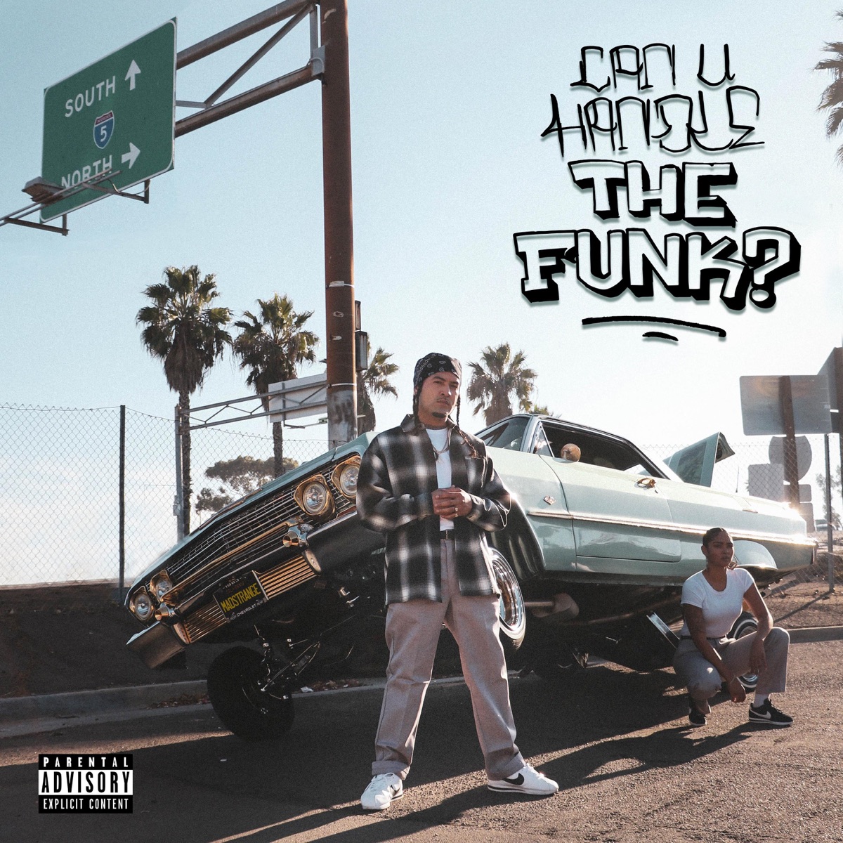 Can U Handle the Funk by Dezzy Hollow album cover