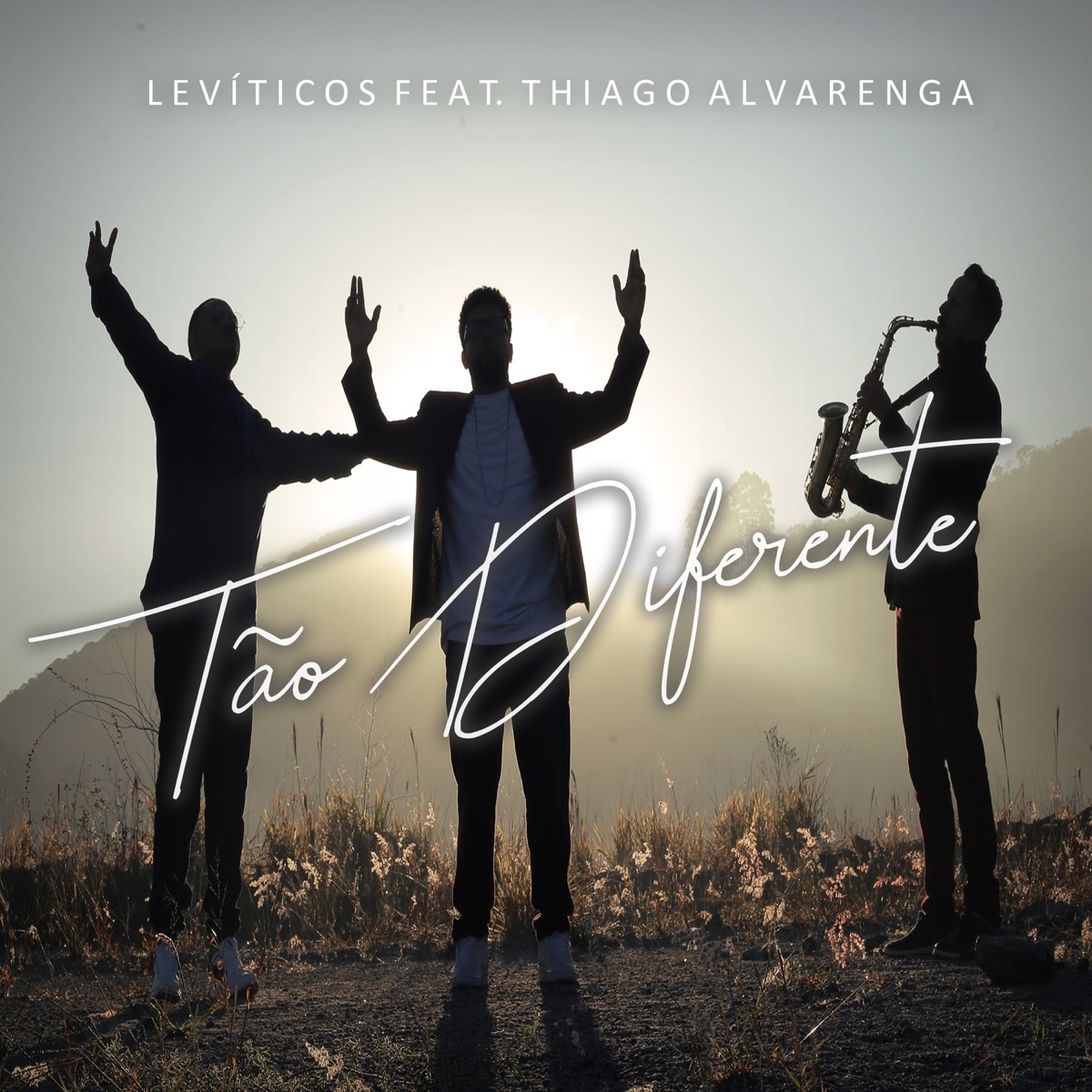 Levíticos Tão Diferente (feat. Thiago Alvarenga) - Single by Levíticos album cover