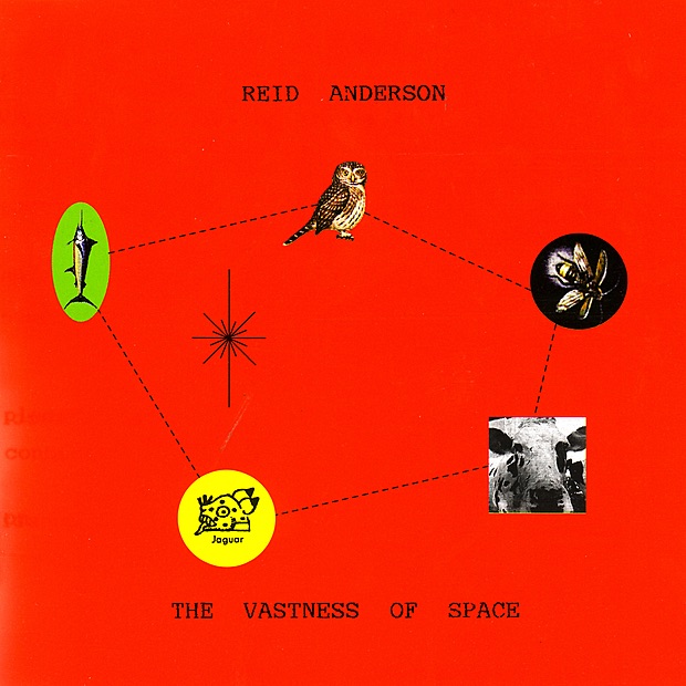 The Vastness of Space by Reid Anderson album cover