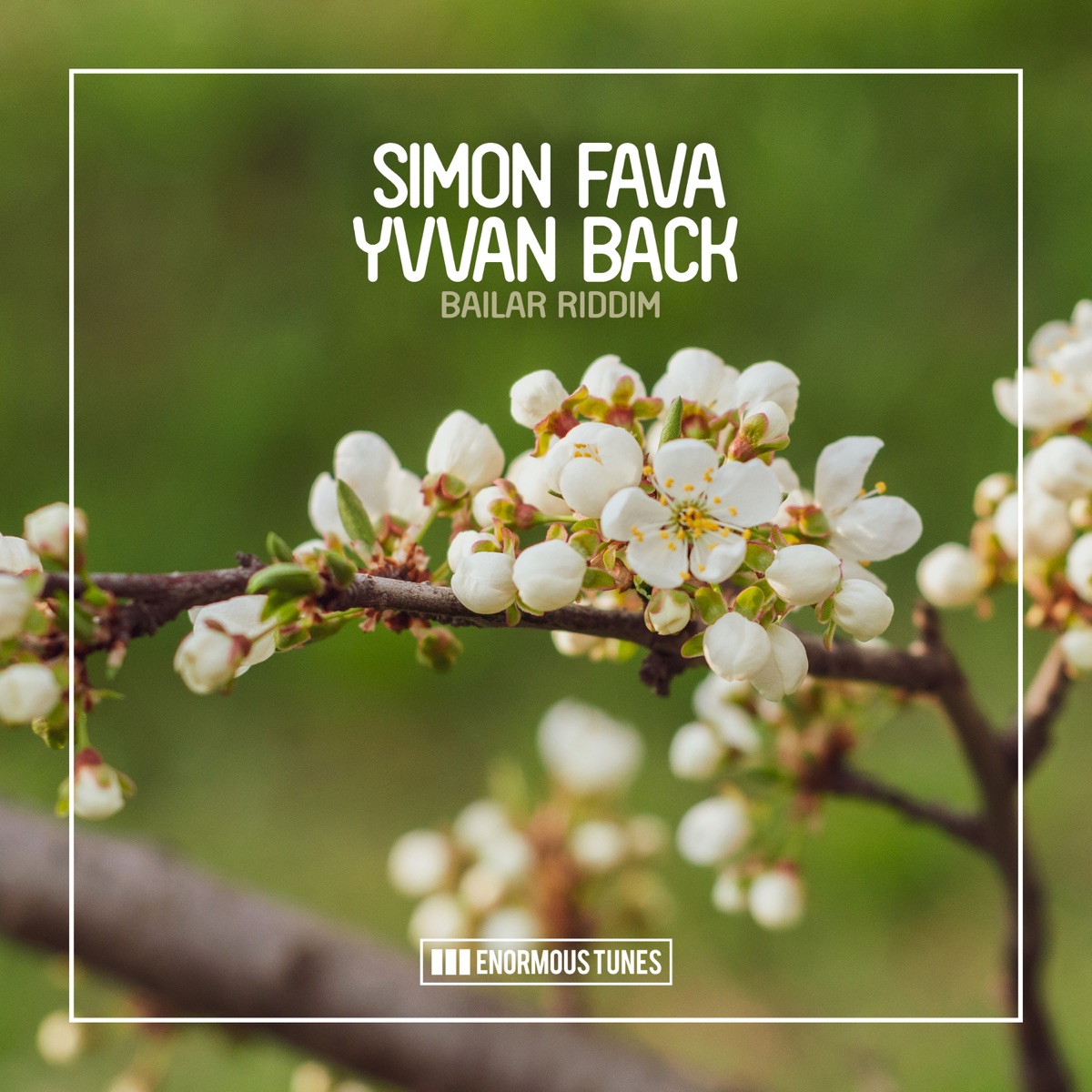 Bailar Riddim - Single by Simon Fava & Yvvan Back album cover