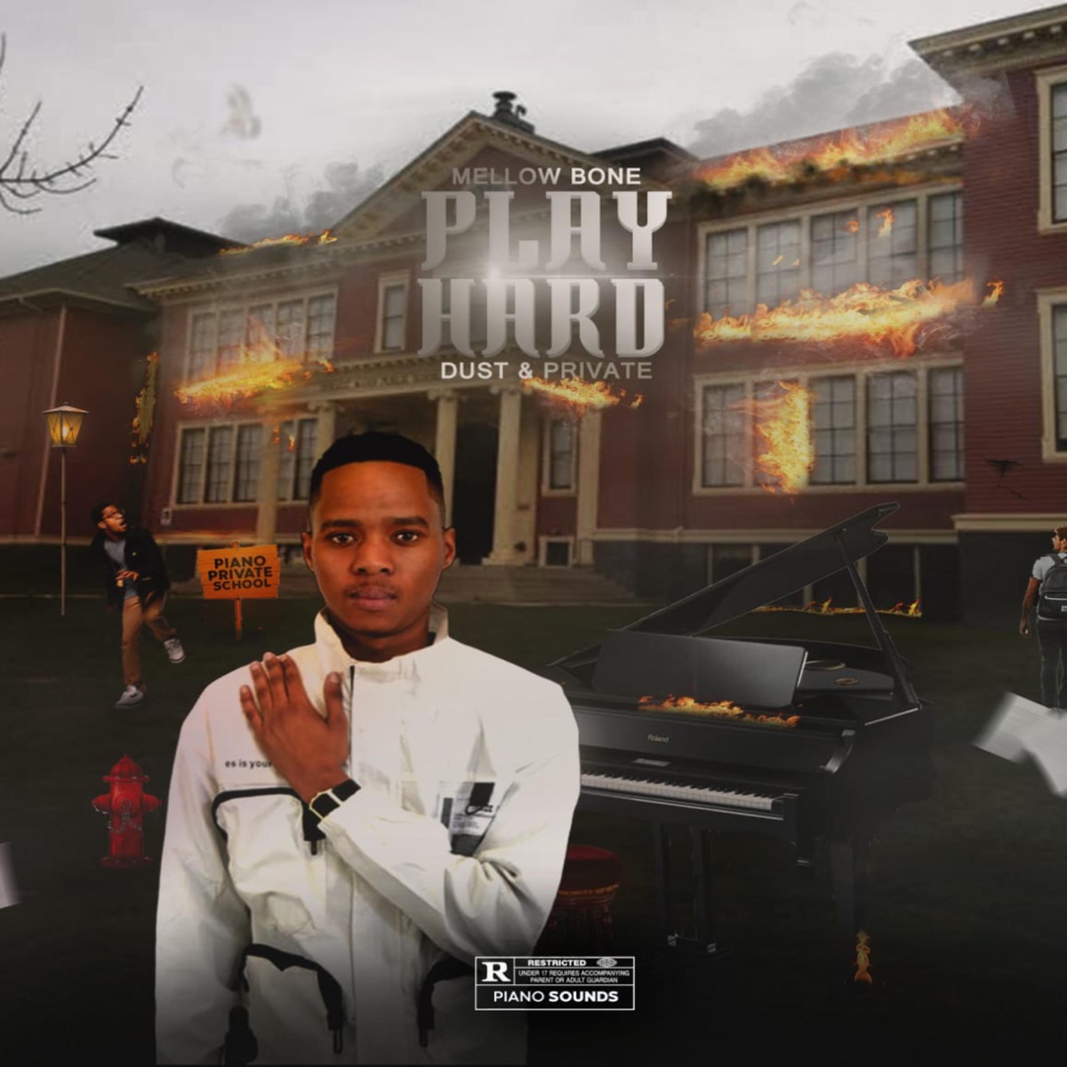 Play Hard(Dust & Private) by MellowBone album cover