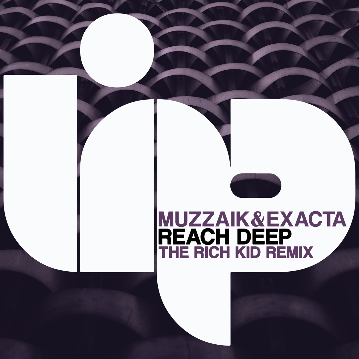 Reach Deep (The Rich Kid Remix) - Single by Muzzaik & Exacta album cover