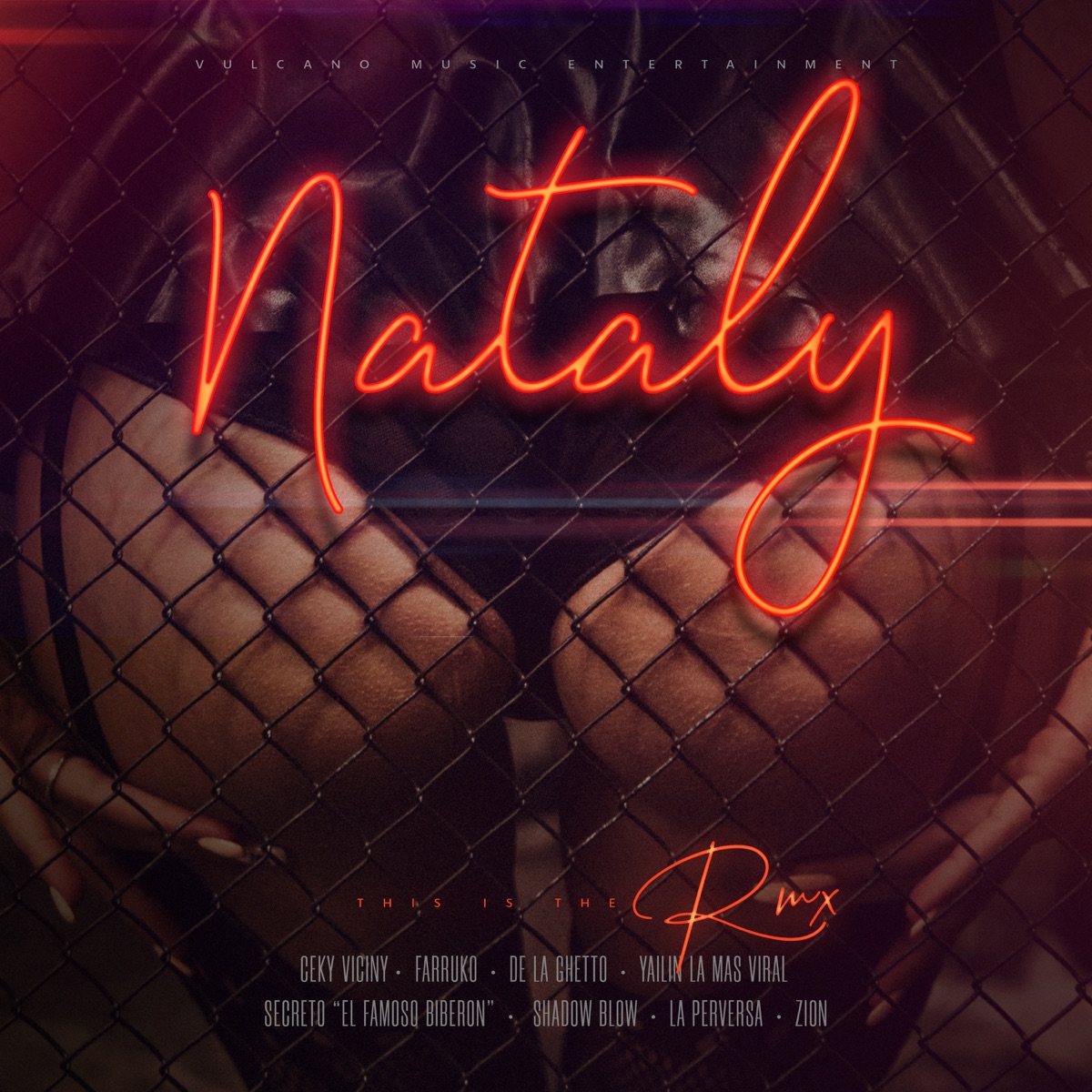 Nataly (Remix) [feat. Shadow Blow, Yailin la Mas Viral, La Perversa, Melymel, Secreto El Famoso Biberón & Zion] - Single by Ceky Viciny, Farruko & De La Ghetto album cover