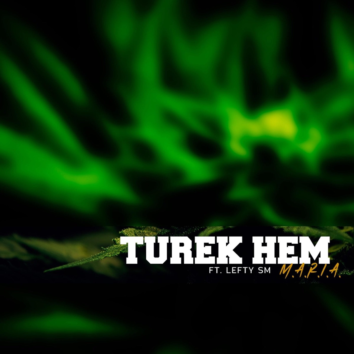 M.A.R.I.A. - Single by Turek Hem & Lefty Sm album cover
