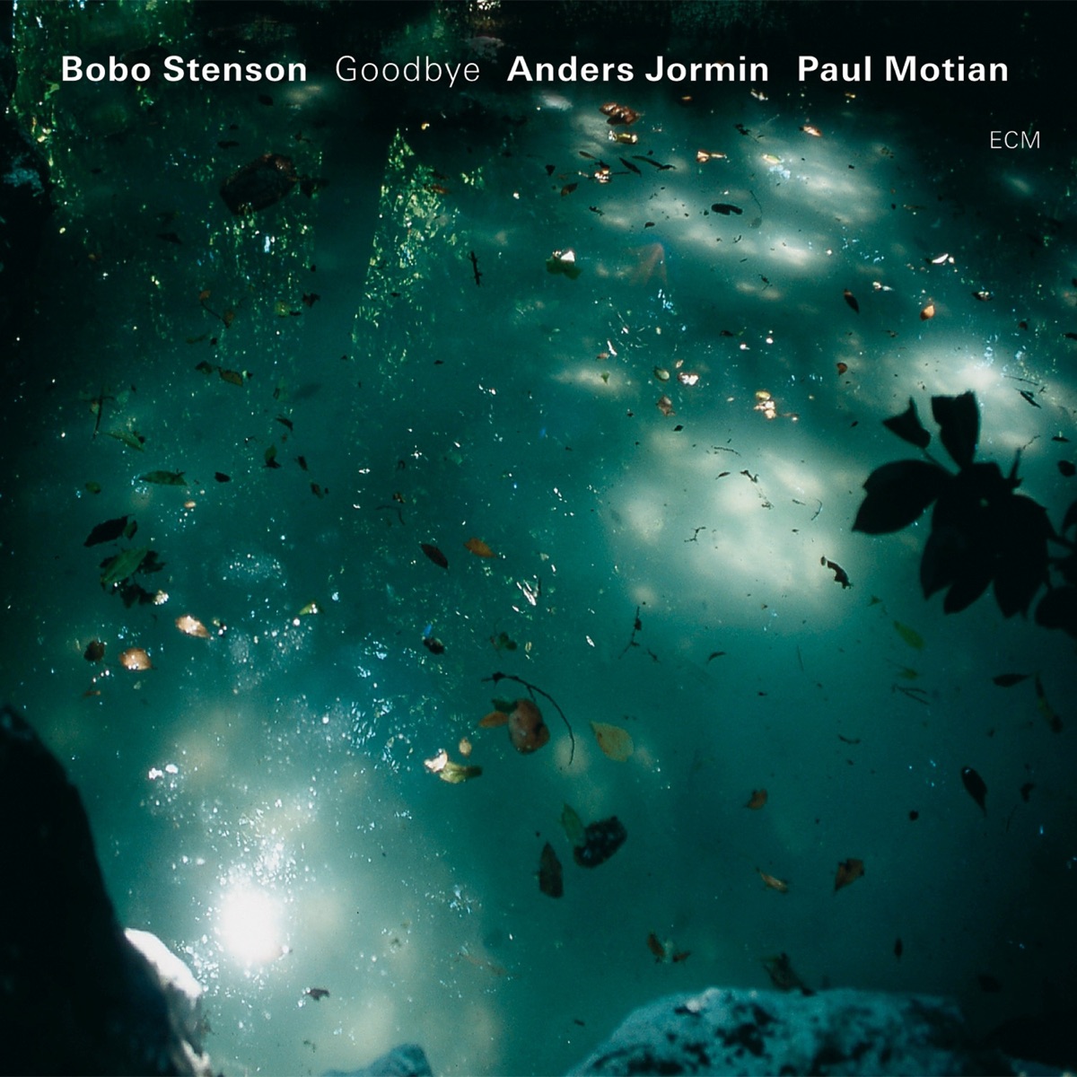 Goodbye by Bobo Stenson, Anders Jormin & Paul Motian album cover