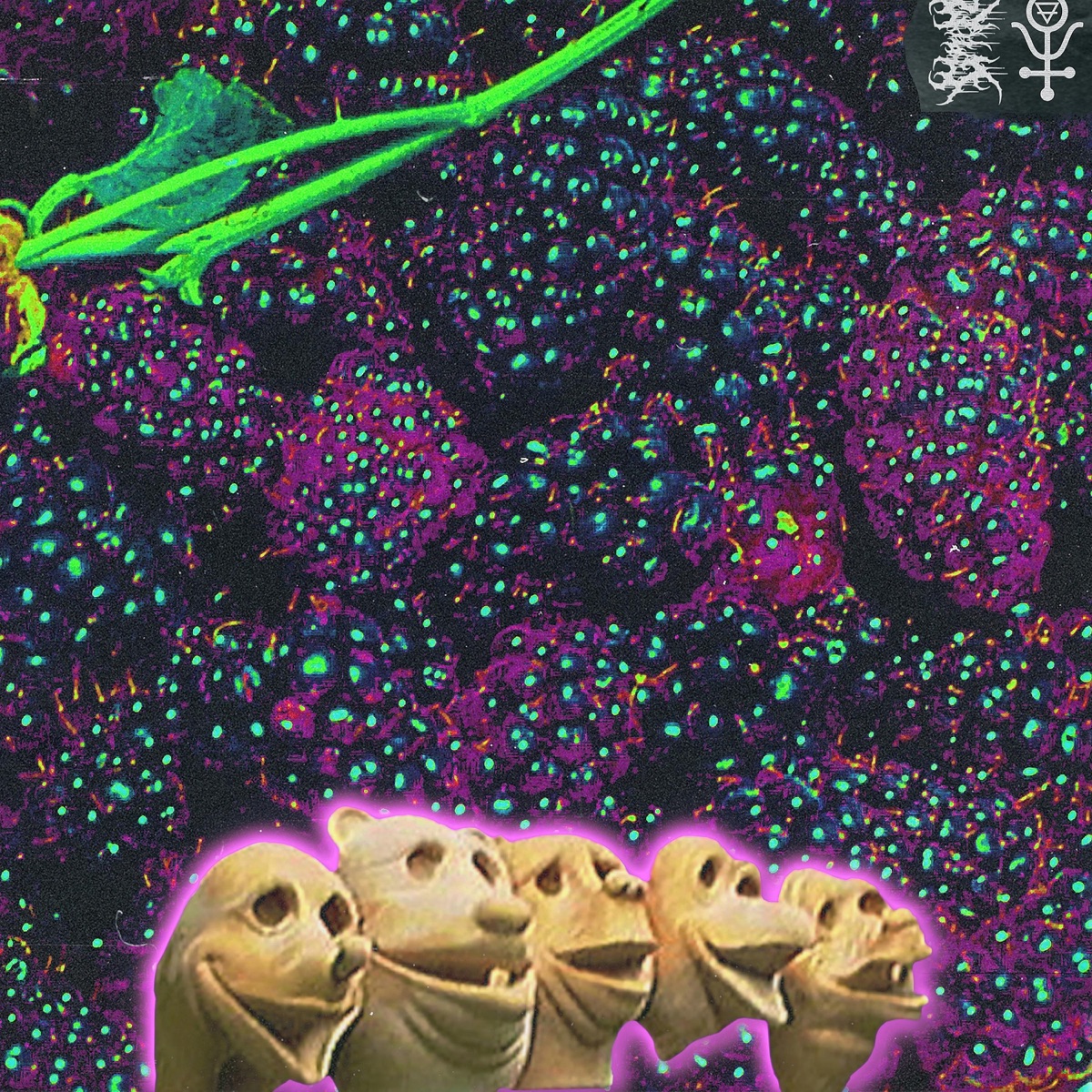 Boysenberry Sepsis - Single by Grim Salvo, Saliva Grey & 99zed album cover