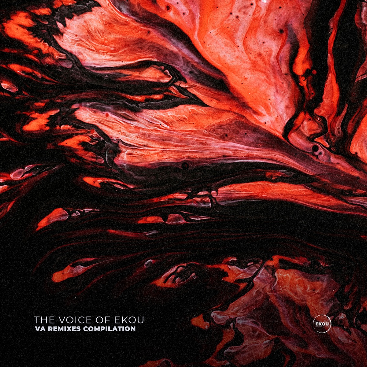 The Voice of Ekou (Va Remix Compilation) by Molecular, Rizzle, Nymfo, Ill Truth, NickBee, Phentix, Volatile Cycle, Creatures, A K A, Division (DNB), False Concept, Mofes, Subtle Element, Screamarts & Trafic MC album cover