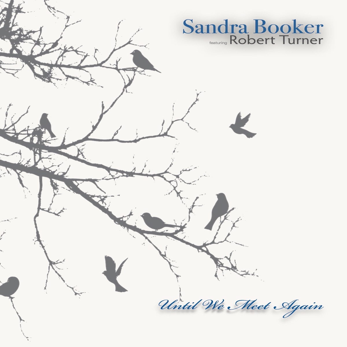 Until We Meet Again - Single (feat. Robert Turner) - Single by Sandra Booker album cover