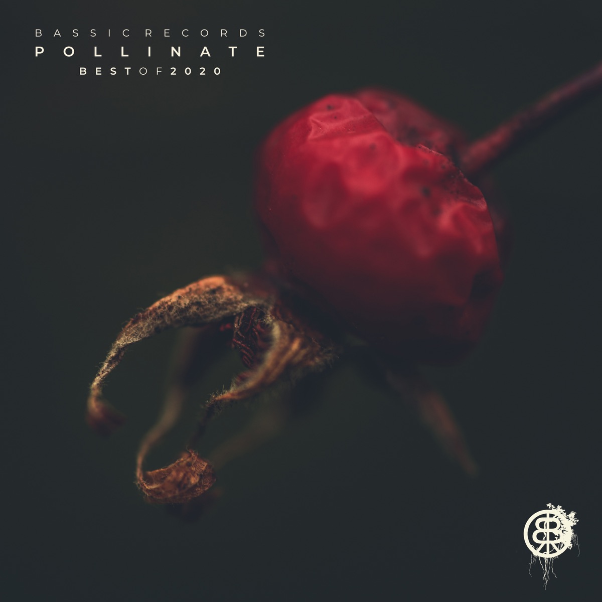 Pollinate - Best Of 2020 by Maksim Dark, Jossie Telch & K.A.L.I.L. album cover