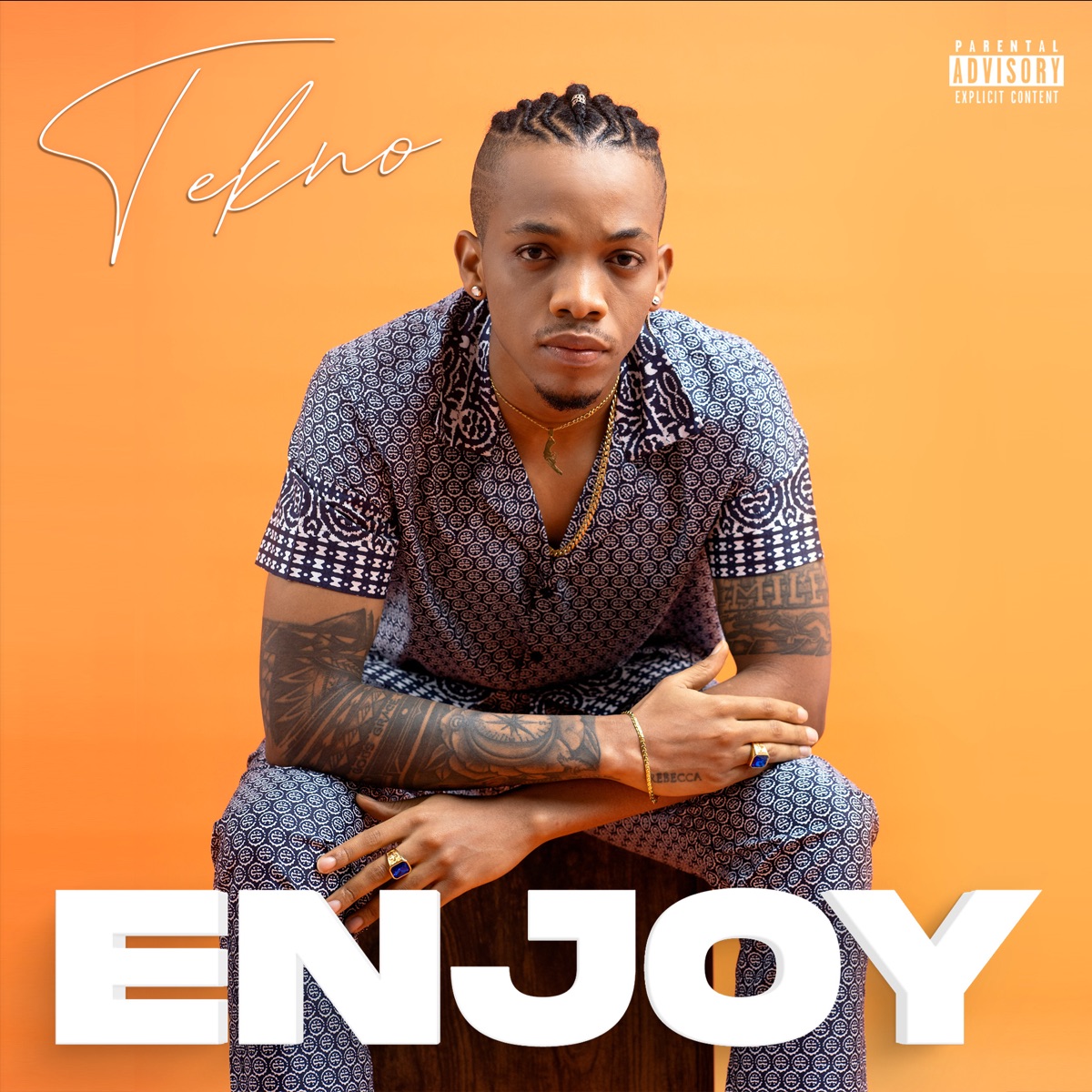 Enjoy - Single by Tekno album cover