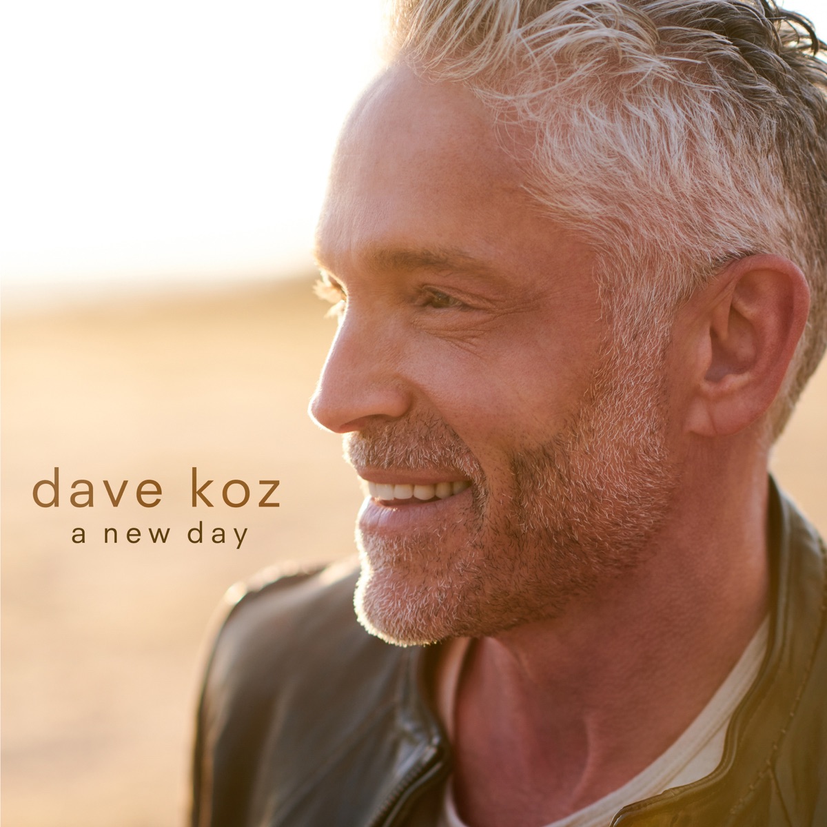 A New Day by Dave Koz album cover