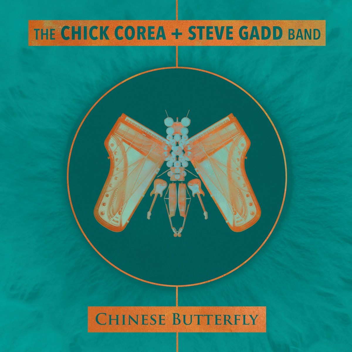 Chinese Butterfly by Chick Corea & Steve Gadd album cover