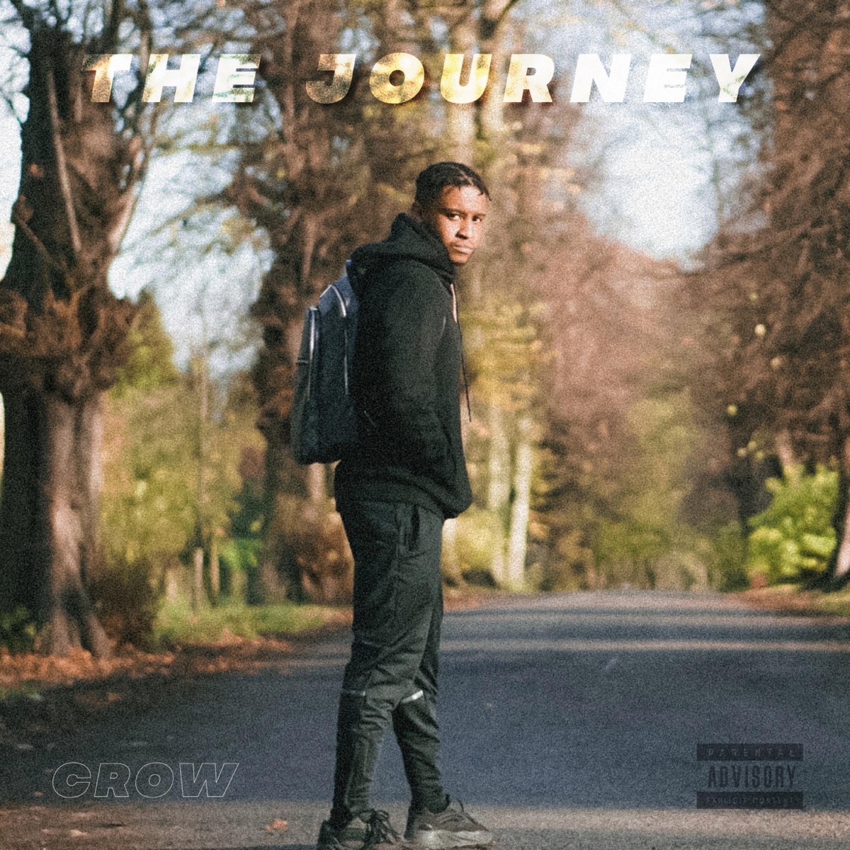 The Journey by Crow album cover