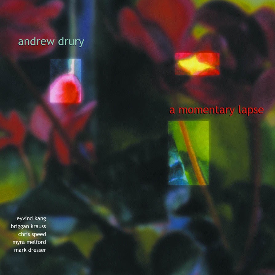 A Momentary Lapse by Mark Dresser, Myra Melford, Briggan Krauss, Chris Speed & Andrew Drury album cover