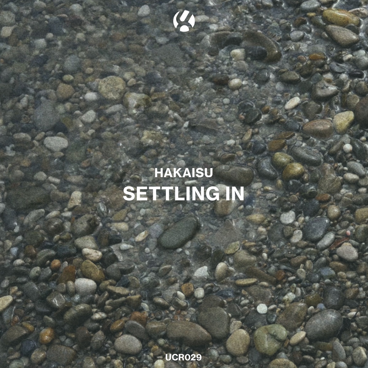 Settling In - Single by Hakaisu album cover