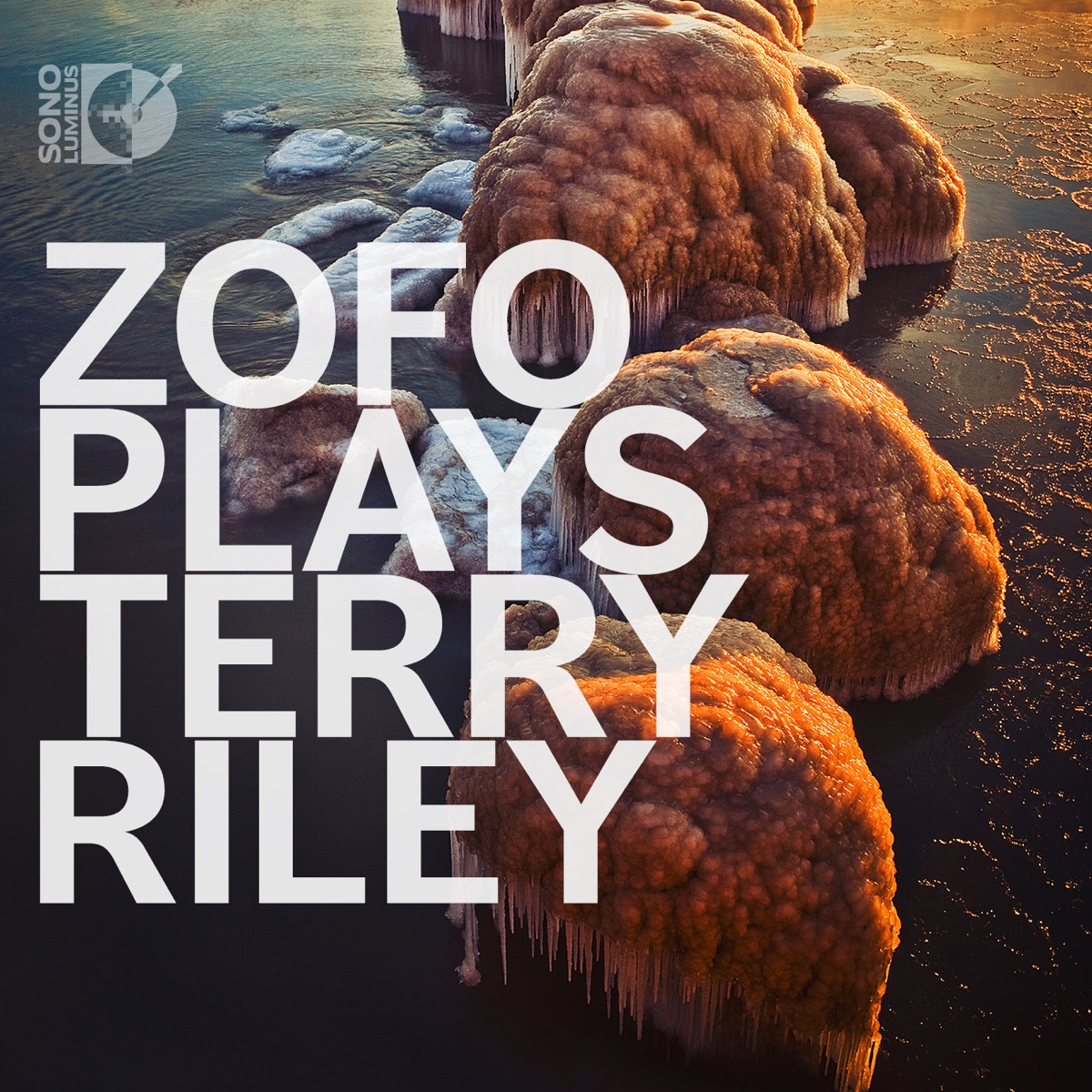 ZOFO Plays Terry Riley by Zofo Duet album cover