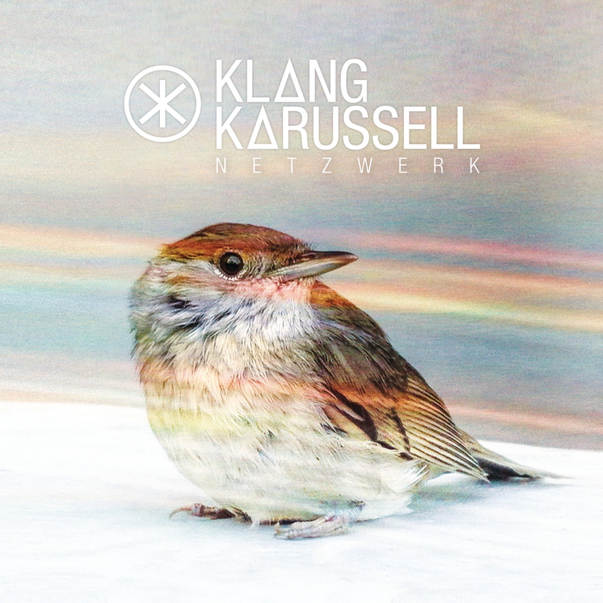 Netzwerk by Klangkarussell album cover